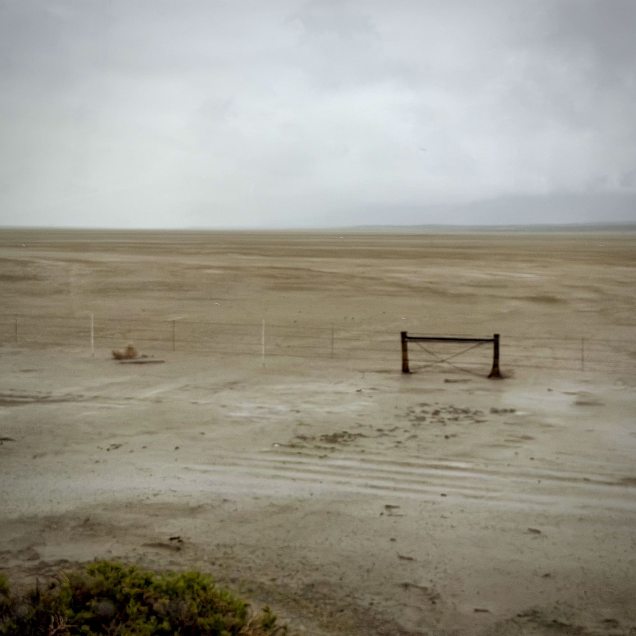 Rain In The Desert