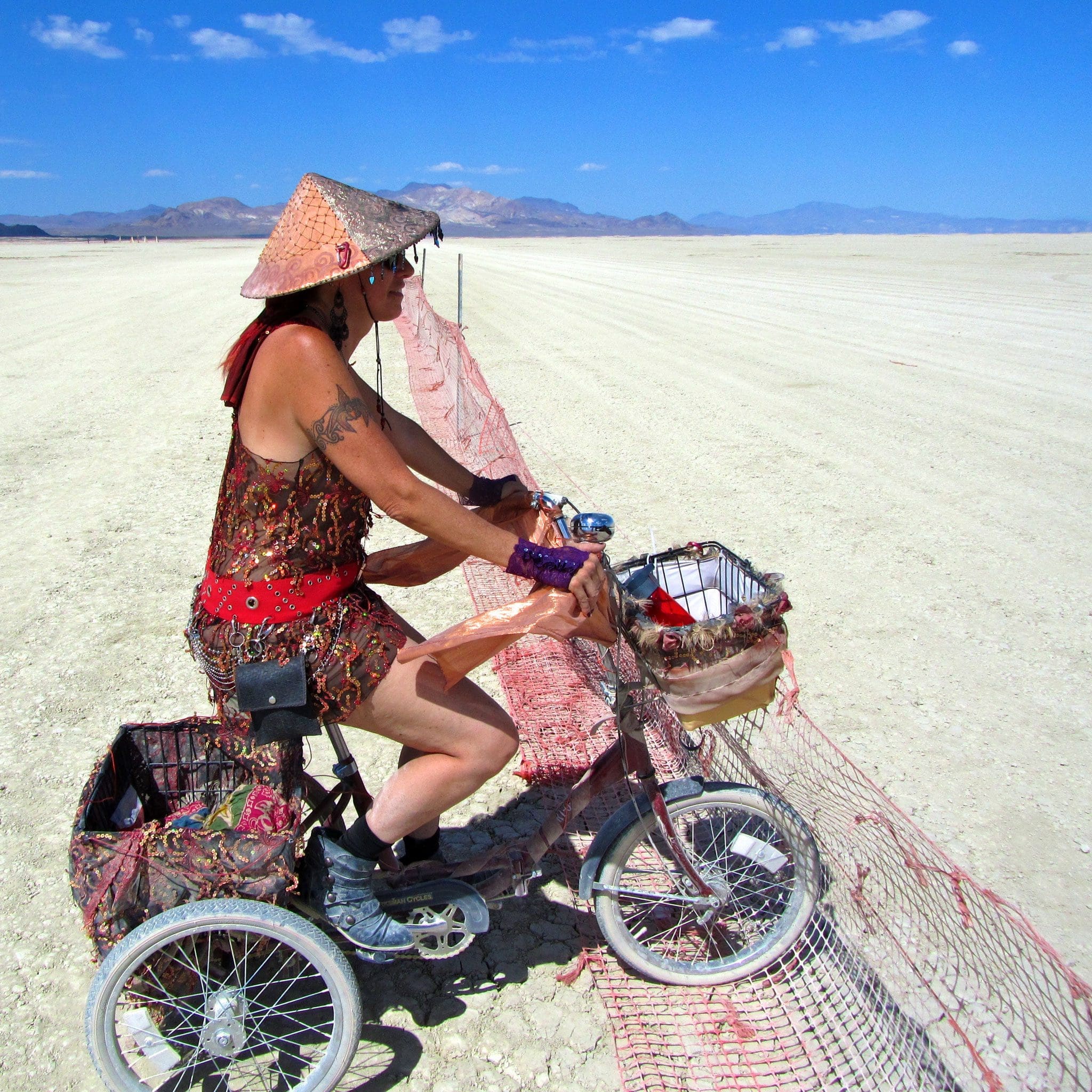 Trash Fence